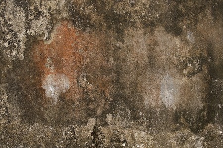 Grunge wall with frame and rust with text space