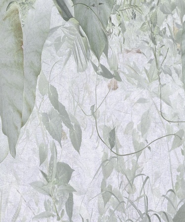 Grey Watercolor Jungle Foliage Art Textured Backgroundの写真素材