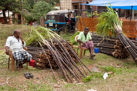 KERALA - DECEMBER 29: Raw sugarcane is offered for sale on December 29, 2010 in Kerala, India. As one of the top producers of sugarcane in the world, India is increasingly diverting the crop for the production of the bio-fuel ethanol.のeditorial素材