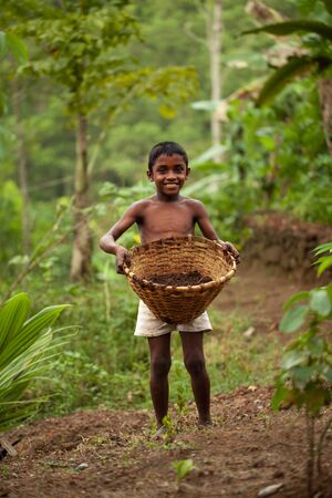 Western Province, Sri Lanka - 4.20.2011: A smiling young Sri Lankan boy stands holding a basket of cow dung on a forest pathのeditorial素材