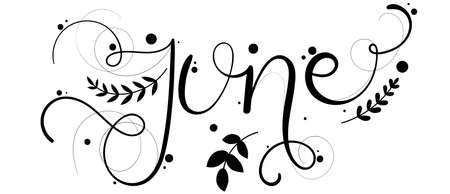 Hello JUNE. June Month text hand lettering with flowers and leaves. Black and white. Illustration month Juneのイラスト素材