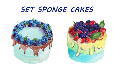 sponge cake with chocolate and fruit. isolated. watercolor