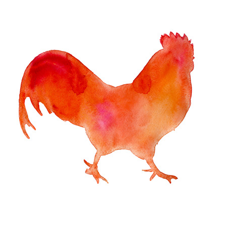 rooster. isolated year of the rooster. watercolor illustrationの写真素材