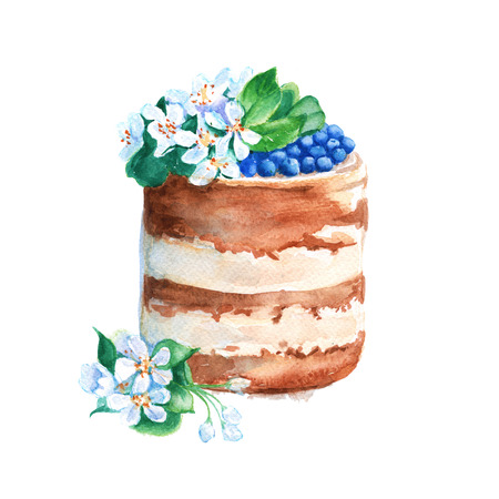 Festive cream cake in a rustic style with fruit. isolated. watercolorの写真素材