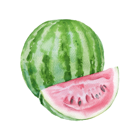 Watermelon with a slice cut. Isolated on a white background. Watercolor illustration.の写真素材