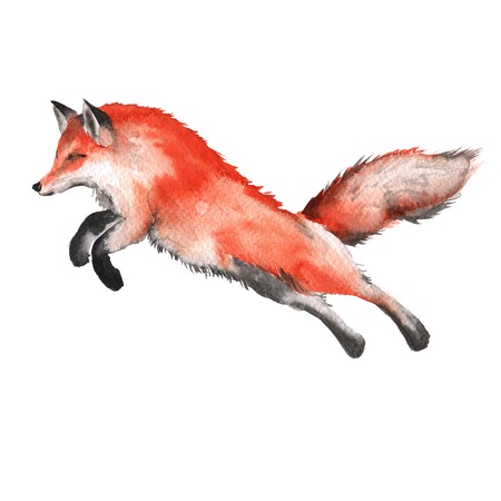 Red Fox. Forest predator. Isolated on a white background. Watercolor illustration.の写真素材