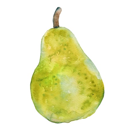 Green ripe pear. isolated on white background. watercolor illustration.の写真素材