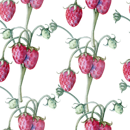 Background of strawberry on a branch. Seamless pattern. Watercolor illustrationの写真素材