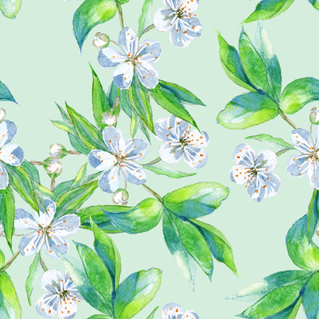 Background cherry branch with flowers. Seamless pattern. Watercolor illustration.の写真素材