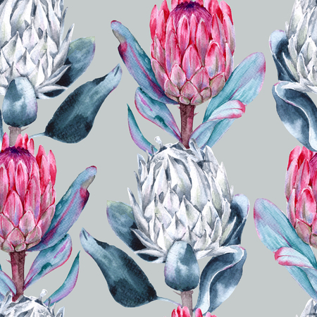 Background of flowers protea. Seamless pattern. Watercolor illustration.の写真素材
