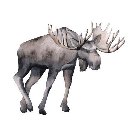 Siberia. Moose forest. isolated on white background. watercolor illustrationの写真素材