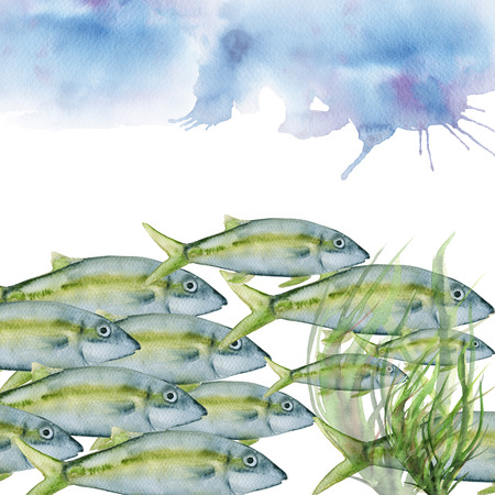 sea fish. Isolated on white background. watercolor illustrationの写真素材