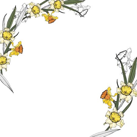Frames of daffodil and iris flowers. Isolated over white background.のイラスト素材