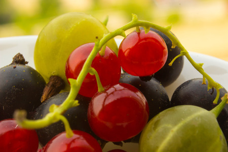 berry mix