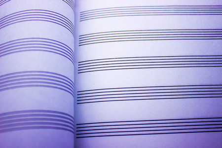 blank sheet music notebook for music recording and music