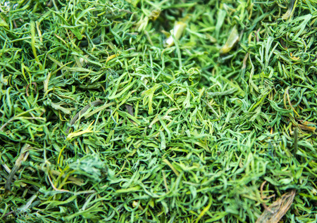 background of greensの写真素材