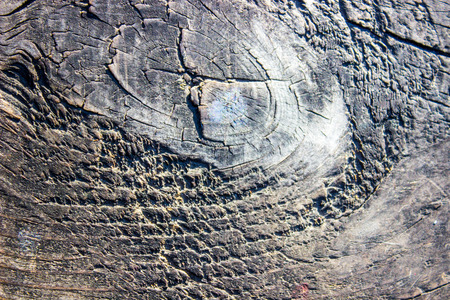 beautiful wood stylish backgroundの写真素材