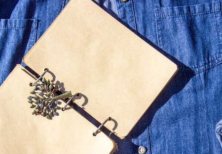 Women accessories and jewelry in different textureの写真素材