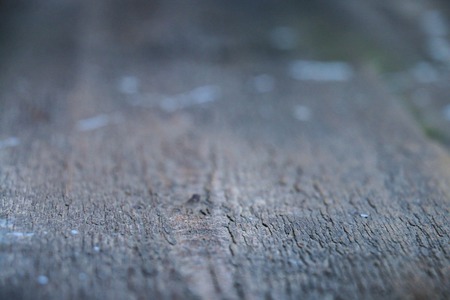 boards, flooringの写真素材