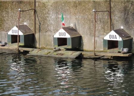 three houses for the ducks here quo here are reflected on the river Addaの写真素材