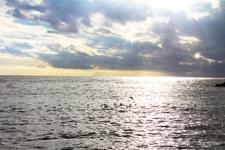 Sunset on the sea with birdsの写真素材