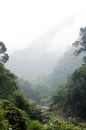 With Taiwan primeval forest fogの写真素材