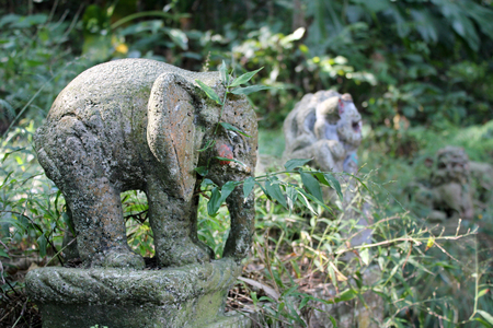 Old stone statue of an elephant in the jungles of Taiwanの写真素材