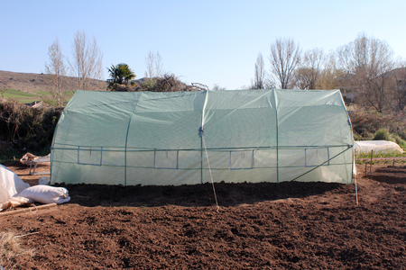 Polythene tunnel as a plastic greenhouse in an allotment, garden centerの写真素材