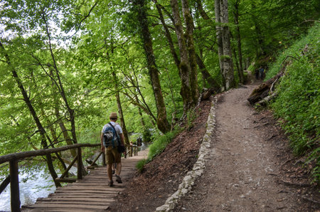 Plitvice Lakes National Park in Croatia - Peaceful Beautiful Lakesのeditorial素材