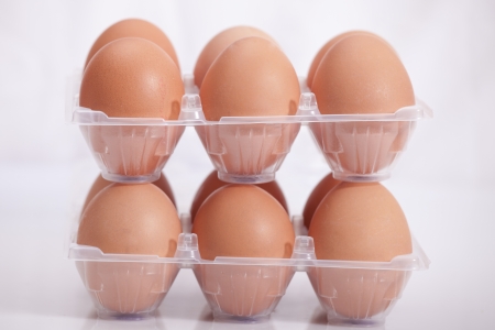 A dozen eggsの写真素材