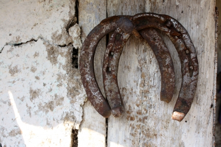 Two horseshoe on an wallの写真素材