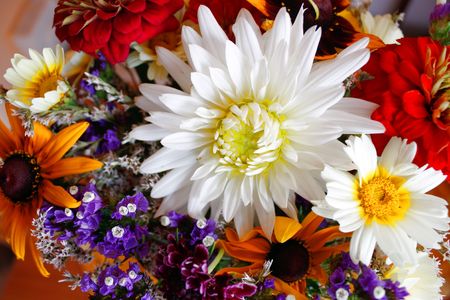 Beautiful bouquet of garden flowersの写真素材