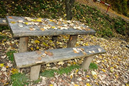 Beautiful and colorful scene in autumn season