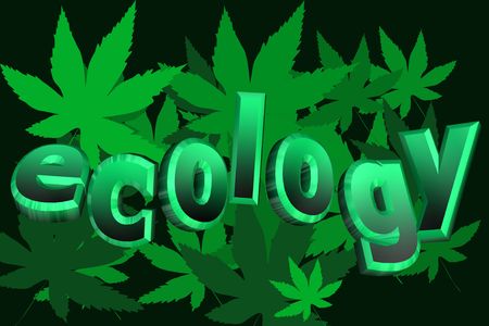 Ecological text concept on green leafs textureの写真素材