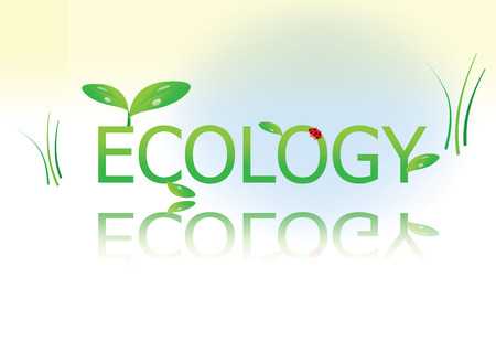 Graphic illustration of natural environmentのイラスト素材