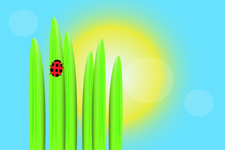 Ladybug on a plant in a sunny dayのイラスト素材