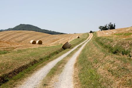 Agricultural field in the summer time from Italiaの写真素材