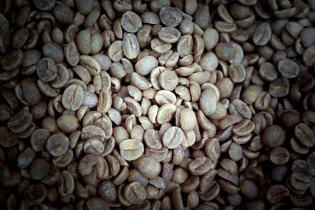 Background with many coffee beans.