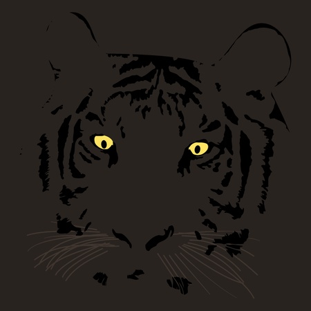 Graphic illustration of tiger face with expressive lookのイラスト素材