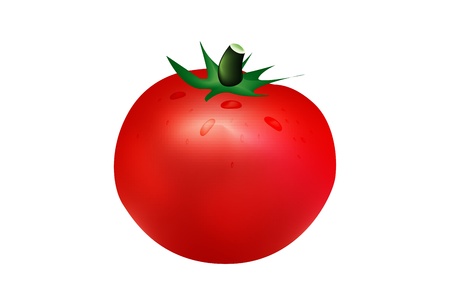 Graphic illustration of one red tomato isolated on white backgroundのイラスト素材