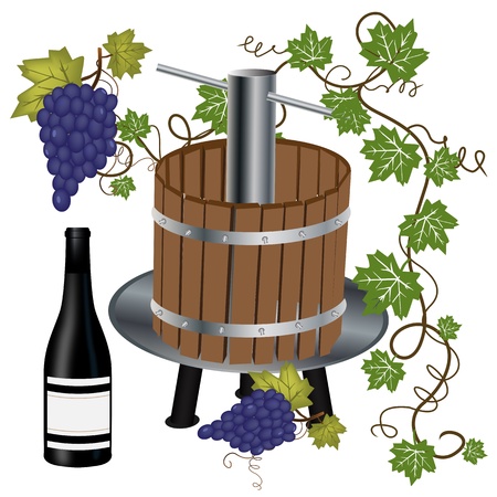 Graphic illustration of wine press with bottle and grapesのイラスト素材