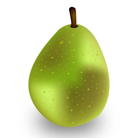 Graphic illustration of pear isolated on a white backgroundのイラスト素材