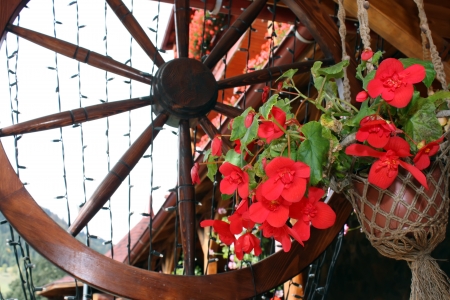 Red flowers with cart wheel in backgroundの写真素材