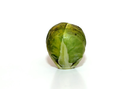 One piece of Brussels sproutの写真素材