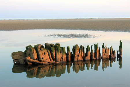 Beach scene at Camber Sands in United Kingdomの写真素材