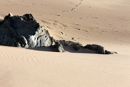 Sand dunes at Woolacombe, Devonの写真素材