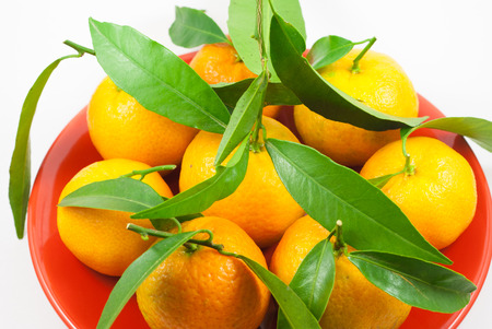 Mandarin - tangerine - clementines with leafs on a red plate isolated on white backgroundの写真素材