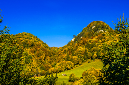 The colors of autumn. Autumn landscape in mountains with colorful forest and blue sky.の写真素材
