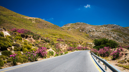 Crete island landscape, Greece. Road with plants of oleanders and flowers on the both sidesの写真素材