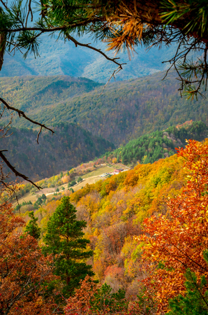 Autumn in Cozia, Carpathian Mountains, Romania. Colorful Autumn Leave. Vivid fall colors in forest. Scenery of nature with sunlight through branches of trees.の写真素材